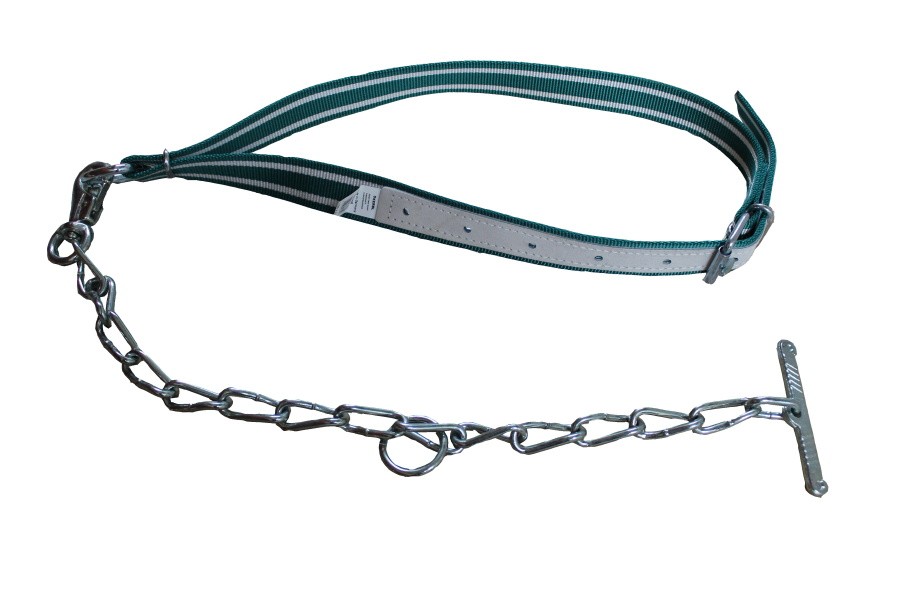 remeň 130x4cm s reťazou 6/1 a karabínou
